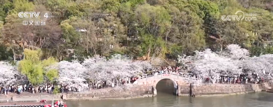 赛事聚“流量”经济添“增量” 以“赛”为媒激发多元消费新活力电竞竞猜app(图1)
